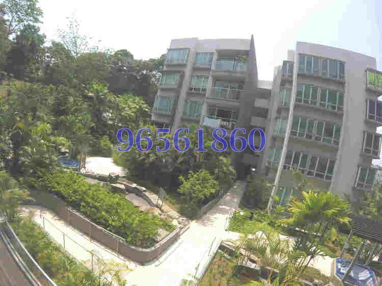 The Raintree (D21), Condominium #174889882